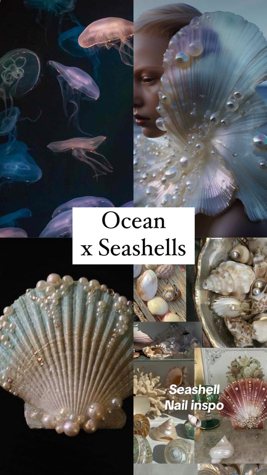 Ocean x Seashells - Mystery Set